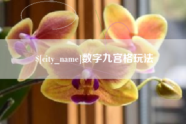 伊犁数字九宫格玩法