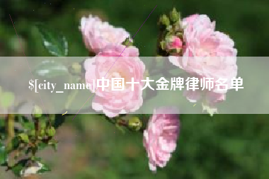 伊犁中国十大金牌律师名单