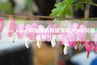 伊犁中国消防救援学院2020年河南录取分数线