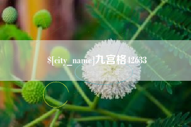 伊犁九宫格42633