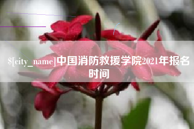 伊犁中国消防救援学院2021年报名时间