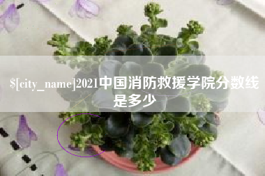 伊犁2021中国消防救援学院分数线是多少