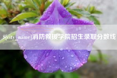 伊犁消防救援学院招生录取分数线