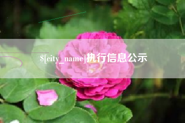 伊犁执行信息公示