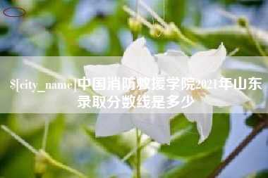 伊犁中国消防救援学院2021年山东录取分数线是多少