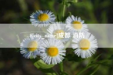伊犁成都 消防