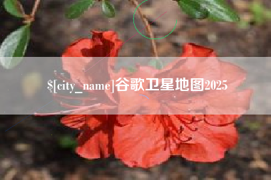 伊犁谷歌卫星地图2025