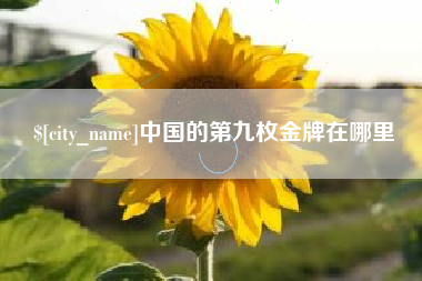 伊犁中国的第九枚金牌在哪里