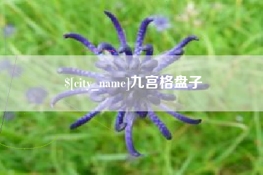 伊犁九宫格盘子