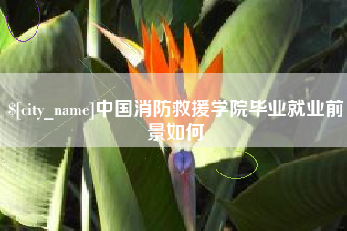 伊犁中国消防救援学院毕业就业前景如何