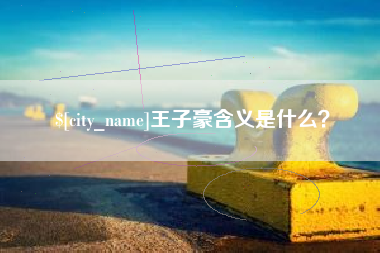 伊犁王子豪含义是什么？