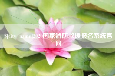 伊犁2020国家消防救援报名系统官网