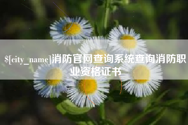 伊犁消防官网查询系统查询消防职业资格证书