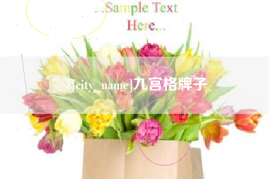 伊犁九宫格牌子