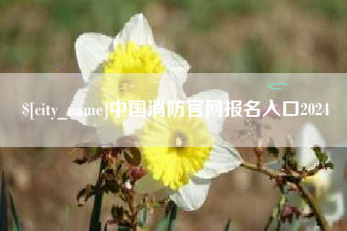 伊犁中国消防官网报名入口2024