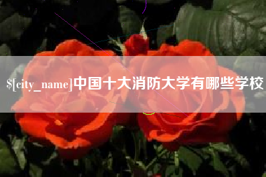 伊犁中国十大消防大学有哪些学校