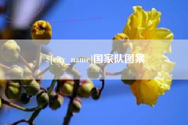 伊犁国家队图案