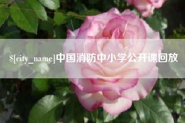 伊犁中国消防中小学公开课回放