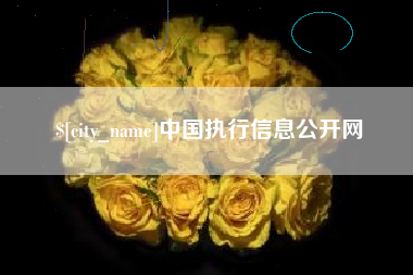 伊犁中国执行信息公开网