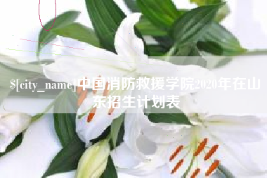 伊犁中国消防救援学院2020年在山东招生计划表