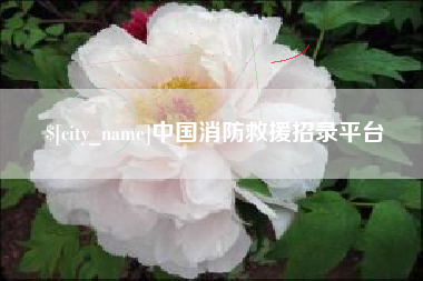 伊犁中国消防救援招录平台