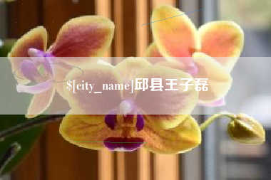 伊犁邱县王子磊