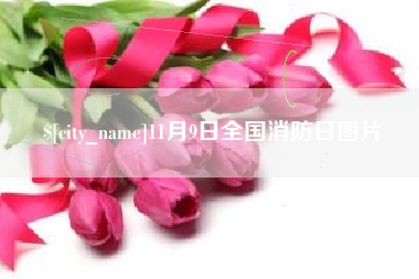 伊犁11月9日全国消防日图片