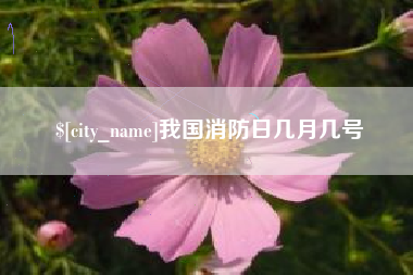 伊犁我国消防日几月几号