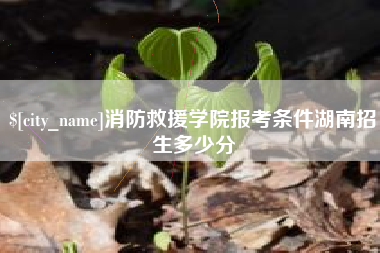 伊犁消防救援学院报考条件湖南招生多少分