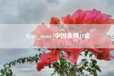 伊犁中国金牌18金