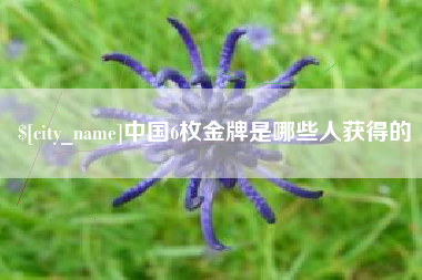 伊犁中国6枚金牌是哪些人获得的