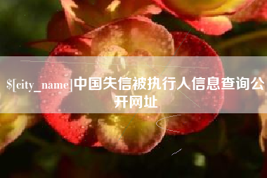 伊犁中国失信被执行人信息查询公开网址