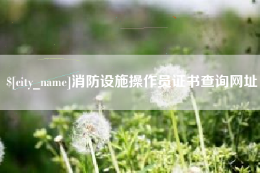 伊犁消防设施操作员证书查询网址
