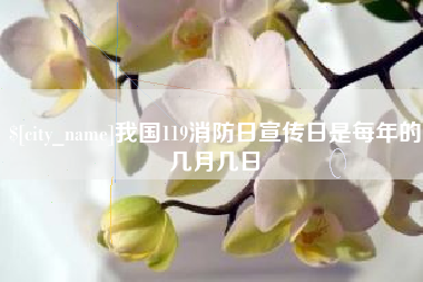 伊犁我国119消防日宣传日是每年的几月几日