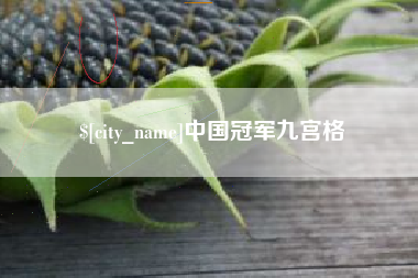 伊犁中国冠军九宫格