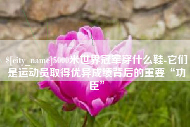 伊犁5000米世界冠军穿什么鞋-它们是运动员取得优异成绩背后的重要“功臣”