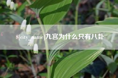 伊犁九宫为什么只有八卦