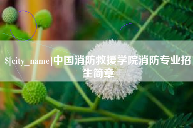 伊犁中国消防救援学院消防专业招生简章