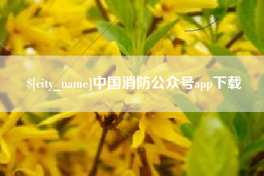 伊犁中国消防公众号app下载