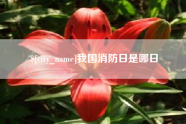 伊犁我国消防日是哪日