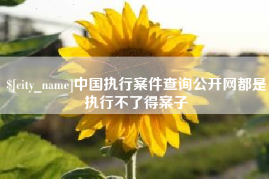 伊犁中国执行案件查询公开网都是执行不了得案子