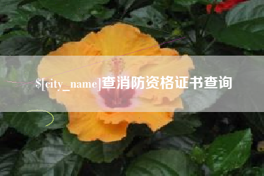 伊犁查消防资格证书查询