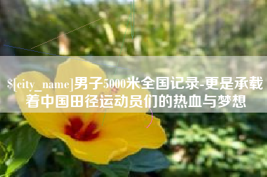 伊犁男子5000米全国记录-更是承载着中国田径运动员们的热血与梦想