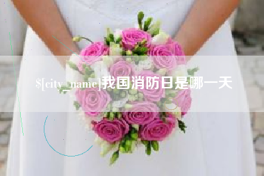 伊犁我国消防日是哪一天