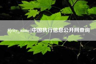伊犁中国执行信息公开网查询