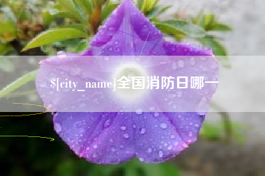 伊犁全国消防日哪一