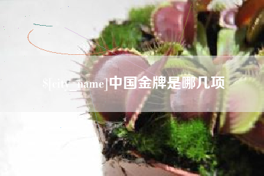 伊犁中国金牌是哪几项