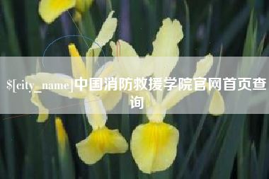 伊犁中国消防救援学院官网首页查询