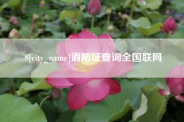 伊犁消防证查询全国联网