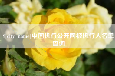 伊犁中国执行公开网被执行人名单查询